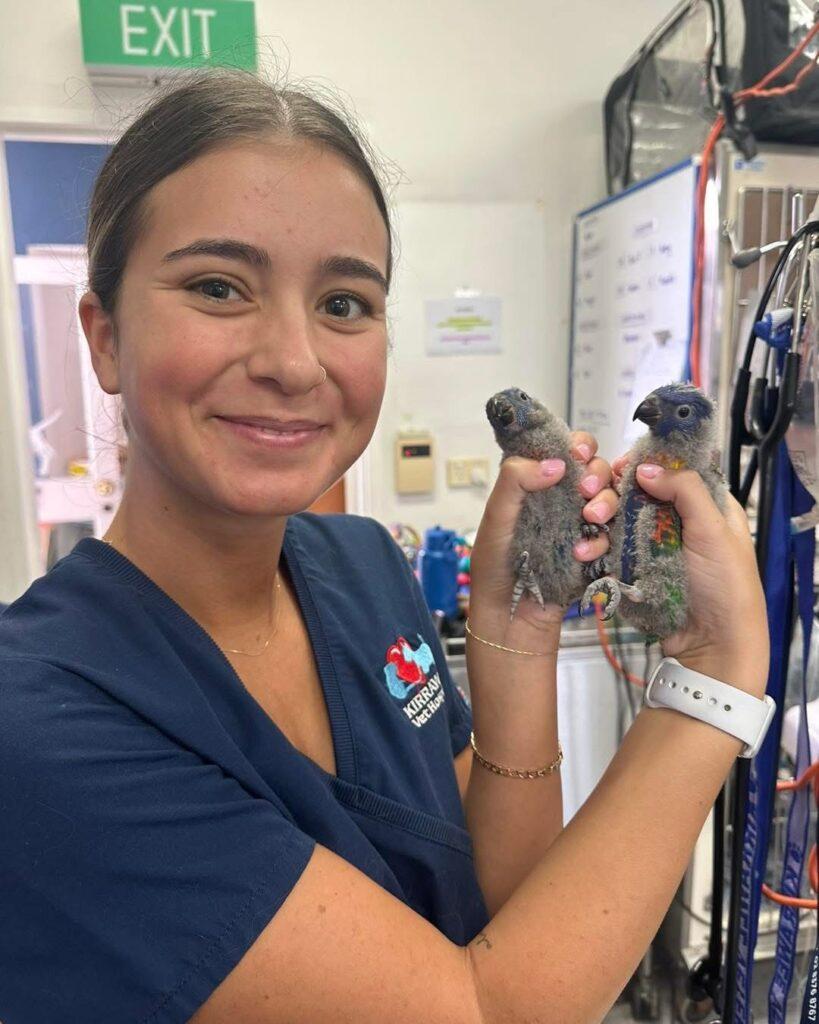 Piper, a Veterinary Nurse at Kirrawee Veterinary Hospital