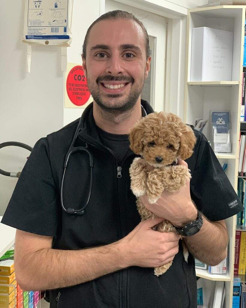Dr Josh Kasparian, Veterinary Doctor at Kirrawee Vets