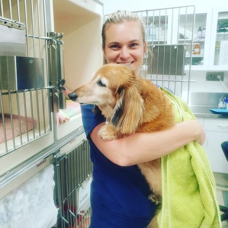 Samantha, Veterinary Nurse at Kirrawee Veterinary Hospital